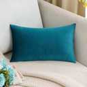 MIULEE Velvet Pillow Cover Soft Luxury Decorative Throw Pillow Cover Single Rectangle Cushion Case for Spring Couch Sofa Bedroom Car Decor,12x20 Inch Teal