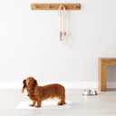 Amazon Basics Heavy Duty Dog and Puppy Pee Pads, 5-Layer Leak-Proof Ultra Absorbent, Quick-Dry Surface, Potty Training, Regular (24x23"), 80 Count, Blue & White