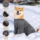 Protective Pants, Lightweight Waterproof Dog Pants - Adjustable All-Weather, Mud & Snow Resistant for Rain & Snow Days, Grey, Small