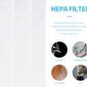 GH-Demon Replacement Filter for Gocheer Demon Purifier, 2-in-1 Air Filtration of H13 True HEPA and Activated Carbon Filter, 2 Packs