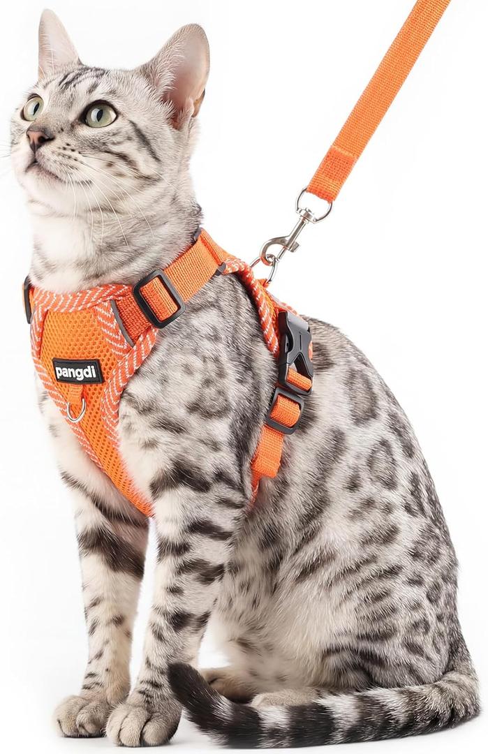 Cat Harness and Leash Escape Proof Extra Large Kitten Harness Maine Coon Cat Vest for Walking Travel, Orange, XXL