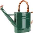 1 Gallon Metal Watering Can with Removable Spout, Nice Galvanized Steel Water Can with Embossed Design for Indoor and Outdoor Plants (Green)