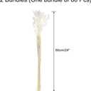 MECCANIXITY 120pcs Natural Rabbit Bunny Tails Dried Flowers 24" Mini Pampas Grass Lagurus Ovatus Bunch for Floral Wedding Decor Christmas, White
