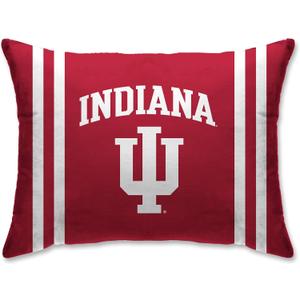Pegasus Sports NCAA Plush Logo Bed Pillow, 20" x 26"