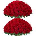 InnoGear 50 Pcs Red Roses Artificial Flowers, Fake Velvet Silk Rose Bulk Faux Flower for Valentine's Gift Decoration DIY Wedding Centerpieces Proposal Bridal Bouquets Party Floral Decor (50, Red)