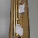 Decorative Curtain Rod with Leaf Finials, 1Inch Diameter 28-48 Inch Adjustable Length Single Drapery Window Rods Telescoping Structure, Warm Gold
