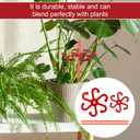 2 x 2pcs Plant Stem Support, Plant Climbing Stem Holders Reusable Houseplant Growth Accessories Plastic Plant Stem Hook Stakes for Growing Plants Outdoor & Indoor for Monstera Vertical Growth (Red)