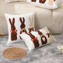 Easter Pillow Covers 18x18 inch Set of 2 Easter Decorations Brown Rabbit Embroidery Throw Pillows for Bedroom Sofa Couch Holiday Home Farmhouse Decor