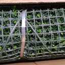 Fake Boxwood Grass Wall Roll with White Flower, 48"x120" (40 sqft)