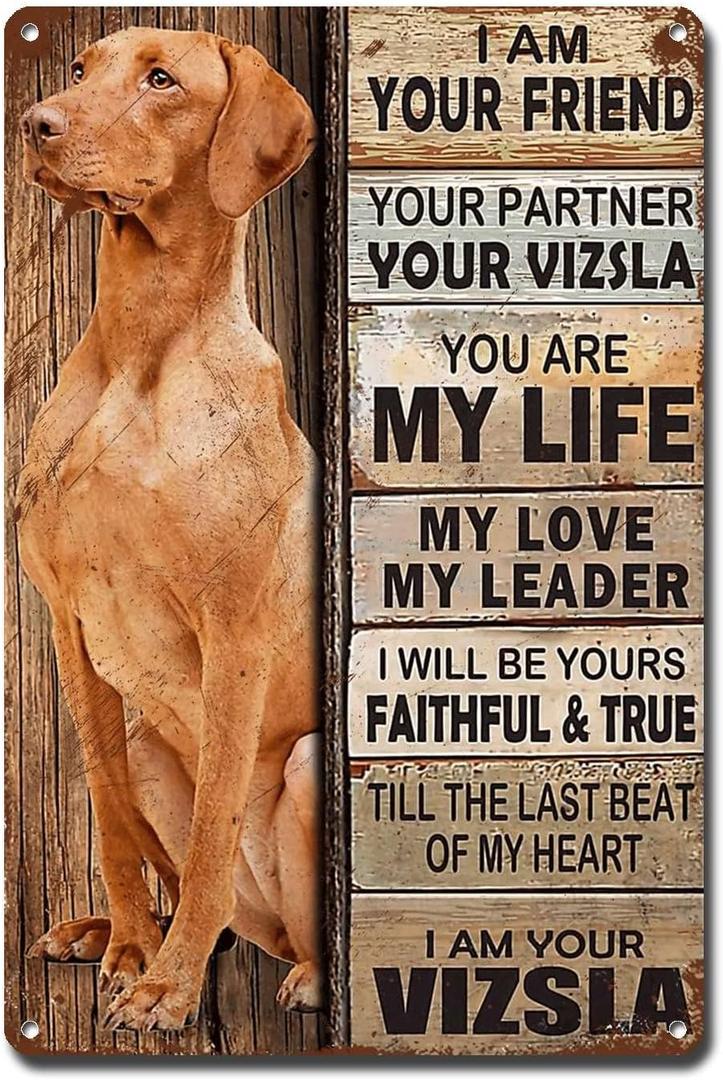Metal Sign Tin Sign Vintage Wall Art I Am Your Friend Gift for Vizsla Lovers Vintage Wall Art Prints Bathroom Signs for Home for Yard 12 * 16inches
