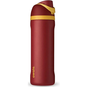 Owala Disney Princess FreeSip Insulated Stainless Steel Water Bottle with Straw for Sports and Travel, BPA-Free Sports Water Bottle, 24 oz