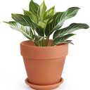 INGOFIN Terracotta Pot with Saucer - 10 Inch Ceramic Clay Pot for Plants with Drainage Hole, Large Terra Cotta Flower Planter with Tray for Indoor Outdoor Plants