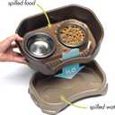 Neater Feeder Deluxe Mess-Proof Elevated Dog Bowls for Small Dogs (Up to 19 lbs), 2 Height Adjustable (6 & 7.5) No-Spill Raised Dog Bowl Stand, Stainless Steel Food Bowl Set, Made in USA, Bronze