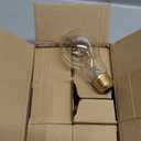 A19 Edison Light Bulb,E26 Incandescent Light Bulbs 60W Antique Vintage Bulb,2200K Dimmable Warm White 280 Lumens Amber Retro Decorative Old Fashioned Incandescent Bulb,Squirrel Cage 6 Pack