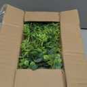 Dahey 3 Pack Mini Potted Artificial Eucalyptus Fake Plants with Wood Tray Centerpiece Table Decorations, Farmhouse Pulp Flower Pots Greenery Home Decor for Coffee Table Dining Room Office Kitchen