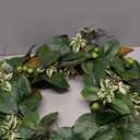 Artificial Greenery Wreath for Front Door