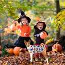 Cute Dog Shirts Clothes, Funny Holiday Style,Soft and Comfortable FabricDog Clothes T Shirt Vest Soft for Small Medium Dogs Cats (Halloween, 3XL)