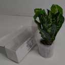 16" Small Fake Plants Artificial Tropical Faux Plants Indoor Desk Plant for Home Office Kitchen Shelf Sage Green Decor