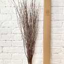 ECOVENIK 25 psc - Branches - 73 cm, Natural Birch Twigs, Pack of 20-25 Stems, Long for Floor vases, (Natural-Brown Color )