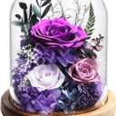 lovenfold Flowers for Delivery Preserved Rose Gifts for Women,Long-Lasting Forever Flowers in Glass Dome, Birthday Gifts for Women Mom Friend(Purple Rose)