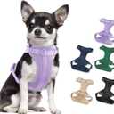 No Pull Lightweight Dog Harness: Adjustable Durable Breathable Mesh Pet Vest Harness with Soft & Comfortable Cushion, for Small Medium Large Dogs (S, Lilac) (S:Neck=11"-14"/Chest=15"-21")