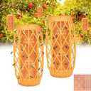 2 Pack Wasp Traps Outdoor Hanging, Carpenter Bee Traps for Outside Yellow Jacket Trap Hornet Trap Wasp Catchers Killer