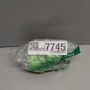 Chameleon Plush DollsGirls and Children Chameleon Shoulder PlushLizard Cosplay Props Merch Gifts for Women Adults Green