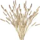 4 Pcs Bunny Tails Artificial Flowers Spring Summer Plants Boho Pampas Grass 32" Floral Stems with Artificial Wheatgrass Brown Dried Flowers Arrangements for Fall Vase Home Decor Wedding