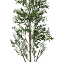 Olive Trees Artificial Indoor, 6FT Tall Faux Olive Tree with Lights Moss and Planter, Artificial Plants Indoor with Natural Wood Trunk and Lifelike Fruits, Fake Tree for Home Office Living Room Decor