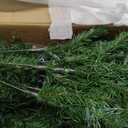 National Tree Company 6ft Pre-Lit North Valley Spruce Slim Christmas Tree