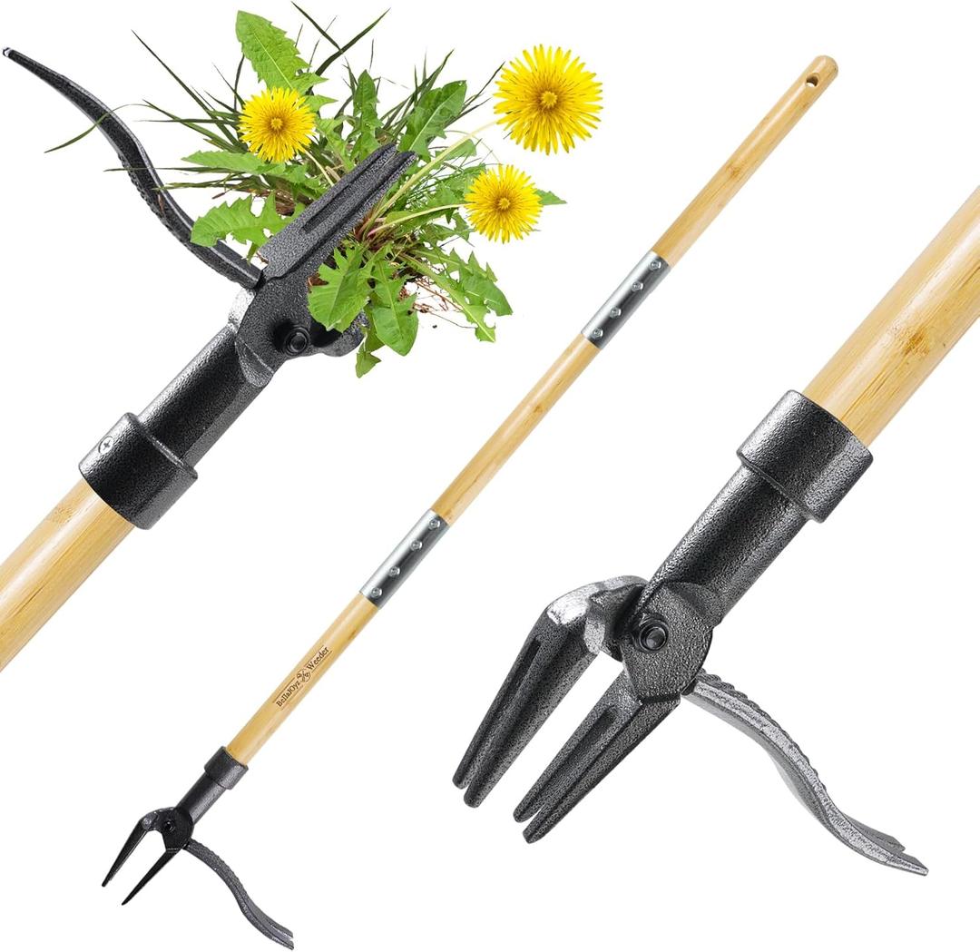 Weeder - The Original Stand Up Weed Puller Tool Made with Long Handle - Real Bamboo & 4-Claw Steel Head, Weeding Tool Weed Remove Tool for Lawn/Yard (Light Brown)