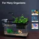 1.8 Gallon Beta Fish Tank Aquariums Kits - Clear Small Fish Bowl Starter Kit with LED Light, Water Filter Pump, Hydroponic Basket - Beginner's Gift for Guppy Shrimp Goldfish, Rectangular