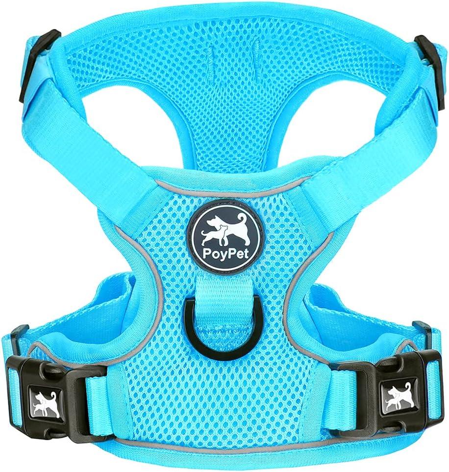 PoyPet Reflective Soft Breathable Mesh Dog Harness No Choke Double Padded Vest Adjustable(Light Blue,S)