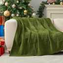 Amlie Home Checkered Chenille Knit Throw Blanket for Couch, Classic Texture Decorative Soft Blanket for Sofa, Chair & Bedroom, 50"x60", Olive Green