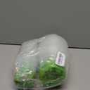 MIXC Thickened Clear Nursery Pots with Silicone Base for Easy Transplant 24 Packs 5/4/3.5 Inch, Variety Pack Plant Pot Reusable Seedling Pots for Vegetable Propagation, Root Cutting, Seed Starting (Green)