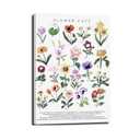 Flowers Cats Canvas Wall Art Botanical Cat Encyclopedic Pictures Wall Decor Whimsical Eclectic Colorful floral Painting Posters Print Artwork for Living Room Bedroom Home Decoration
