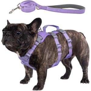 Escape Proof Dog Harness and Leash Set, Lightweight Dog Harness with Lift and Assist Handle, No Pull Reflective Pet Vest for Medium Dogs, Ideal for Puppy Walking and Training (Purple, M)