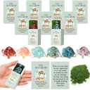 DoubleFill 6 Set Office Positive Gifts for Coworkers Employee Appreciation Gifts Bulk Emotional Pocket Hug Support Appreciation Gift for Staff Teacher Team (Natural Crystal)