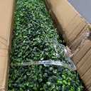 Artificial Boxwood Roll,60x120 in(50 sqft) UV-Anti Faux Ivy Grass Wall Backdrop for Balcony Privacy, Fake Grennery Wall Decor for Garden, Patio, Backyard
