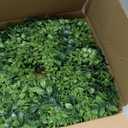 26 Inch Large Boxwoods Wreaths for Front Door Artificial Green Leaves Greenery Indoor Outdoor Wreath Home Decor Porch Window Wall Farmhouse Door Decorations Spring Summer Fall All Seasons