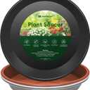 Maygrove 4 Pack Plant Saucer, 8 10 12 inch Plant Saucers for Indoor, Heavy Duty Plastic Plant Trays for pots, Grow Bags, Bird Baths, Flower Drip Trays for Indoor and Outdoor Uses (12", 4 Colors)