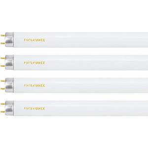 F14T8/CW Fluorescent Light Bulb, 14W T8, 4100K Cool White, G13 Medium Bi-Pin Base, 14.75 inch, 4 Pack