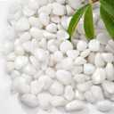 2.2 lb Natural Polished White Pebbles, 1/2 Inch Decorative White Rocks for Potted Plants Pot Filling Aquariums Outdoor Street Scape Decorative Rocks