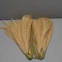 Ouddy Decor 8 Pcs Faux Pampas Grass Decor 38''/97cm Tall Artificial Large Pompous Pompas Floral Fluffy Fake Plants Floor Vase Filler for Wedding Kitchen Home Boho Decorations, Deep Beige