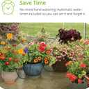 Raindrip R560DP Drip Watering System, Automatic Drip Irrigation System with Timer for Containers and Hanging Baskets, Waters up to 20 Plants, Includes 20 Drippers, Black