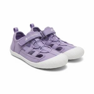 Zeroxposur Purple Size 12C