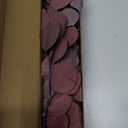 Real Eucalyptus Stems 20PCS Dried Preserved Eucalyptus - Fresh Eucalyptus Silver Dollar Leaves for Shower - Red Branches for Wedding Home Party Vase Filler Fall Decor