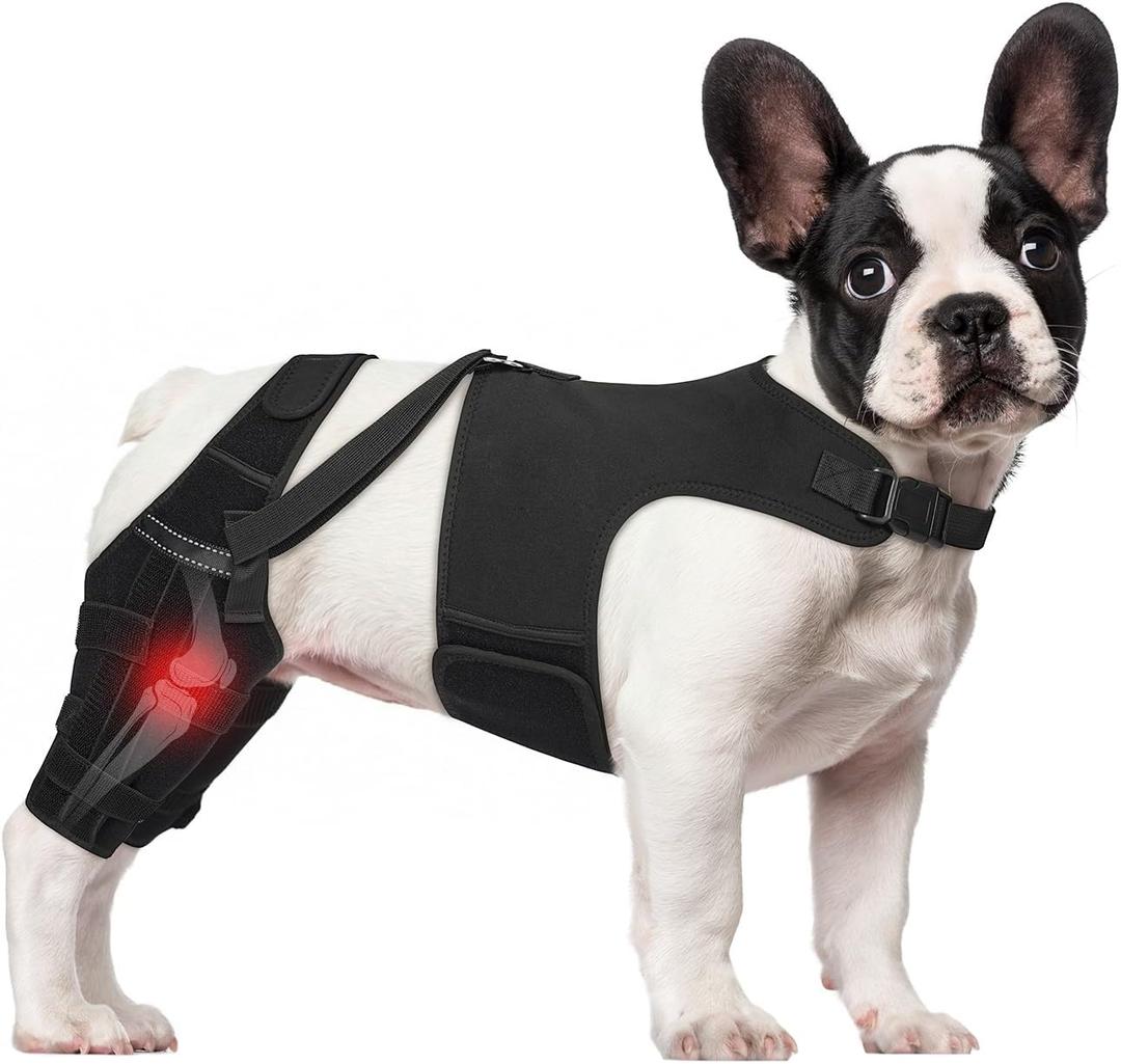 Dog Knee Brace for Torn ACL Hind Legs with Vest, Adjustable Dog Leg Brace with 4 Stabilizers, Hip Support to Reduce Pain, CCL Tear Recovery & Arthritis Ligament Injuries & Luxating Patella (X-Small)