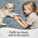 6x9 Area Rugs for Living Room: Soft Grey Fluffy Rug Shag Washable Rug Plush Fuzzy Indoor Carpet for Bedroom Nursery Playroom Girls Boys Kids Room (Grey, 6'x9')