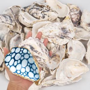 15PCS Oyster Shells 4"-5" Concave Oyster Shells for Crafts Natural Oyster Shells Bulk, for Home Vase Filler, Xmas Ornaments, DIY Arts and Crafts Sea Shells